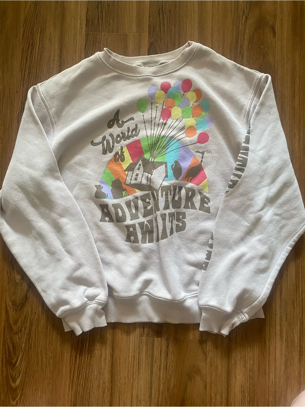 Disney Pixar Up "A World of Adventure Awaits" Sweatshirt